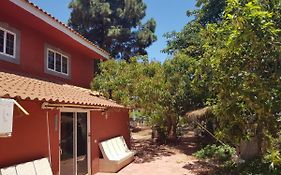 Casa Rural San Mateo FINCA TORRES 2